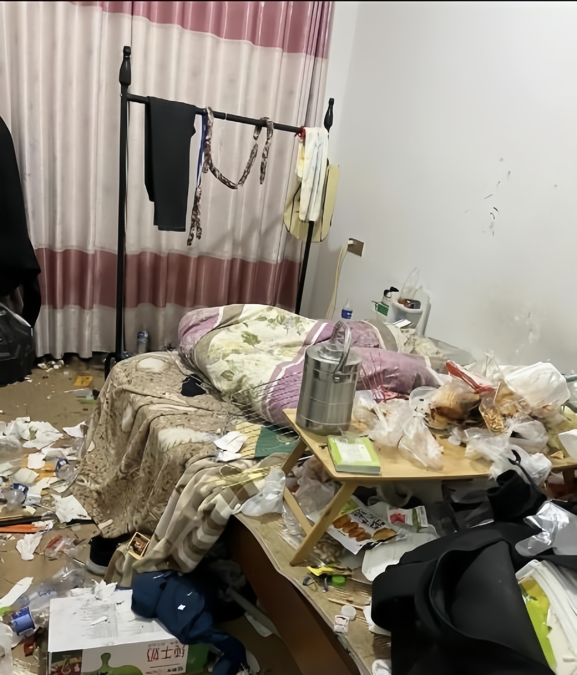 他现在恐怕肠子都悔青了吧,当初怎么会把房子租给这么邋里邋遢的女人