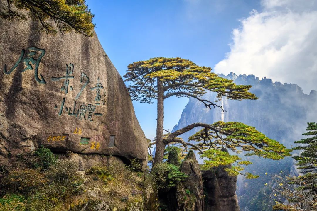 黄山春景旅游攻略 踏春寻梦