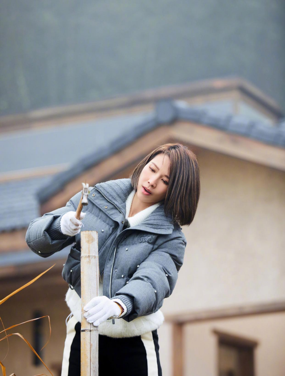 身着棉服配短发的蔡少芬,又美又保暖!