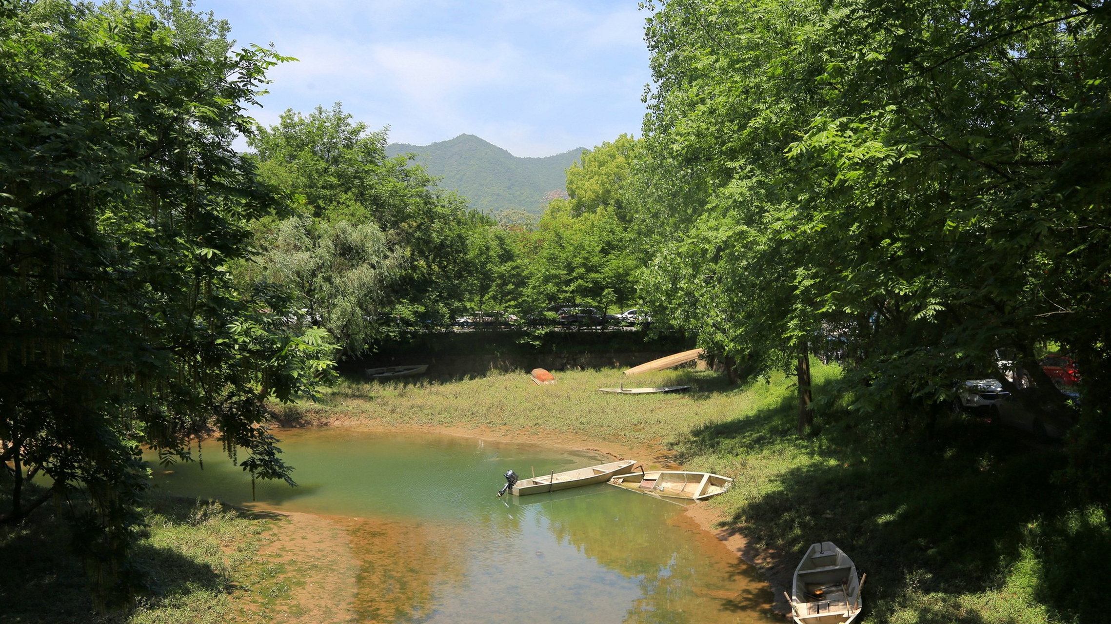 春天总要来一趟杭州# 杭州周边自驾露营推荐,富阳桐洲岛.