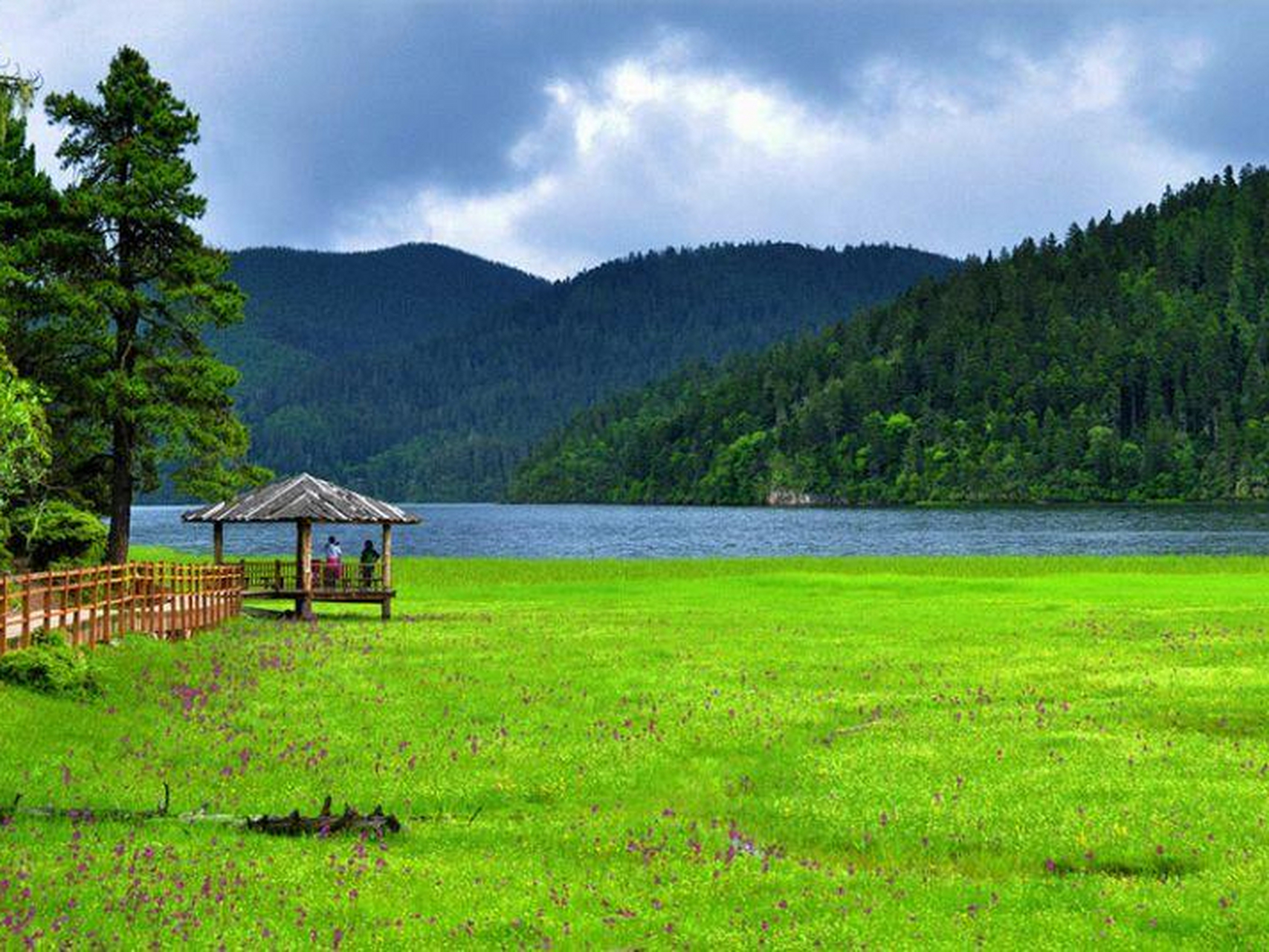 春日里,走进云南的香格里拉普达措国家公园,仿佛进入了一个五彩暗斓