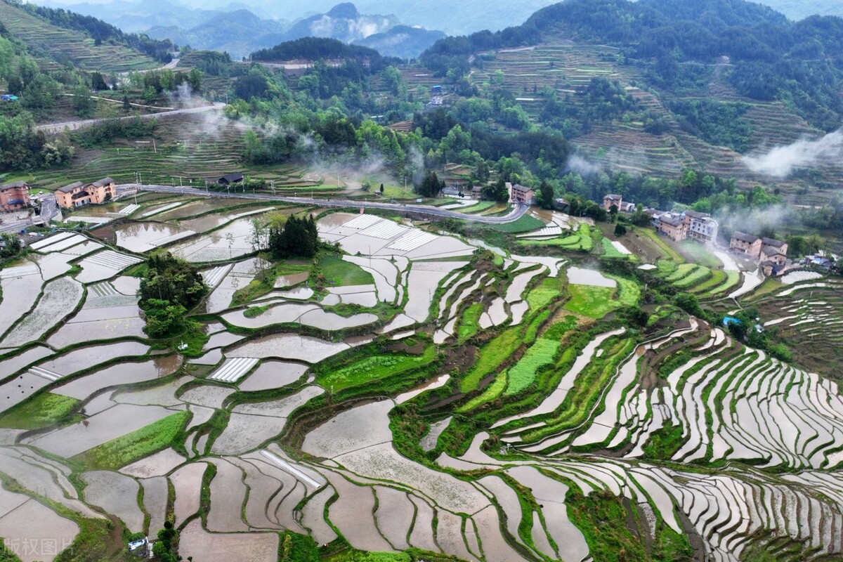 酉阳花田乡何家岩梯田图片