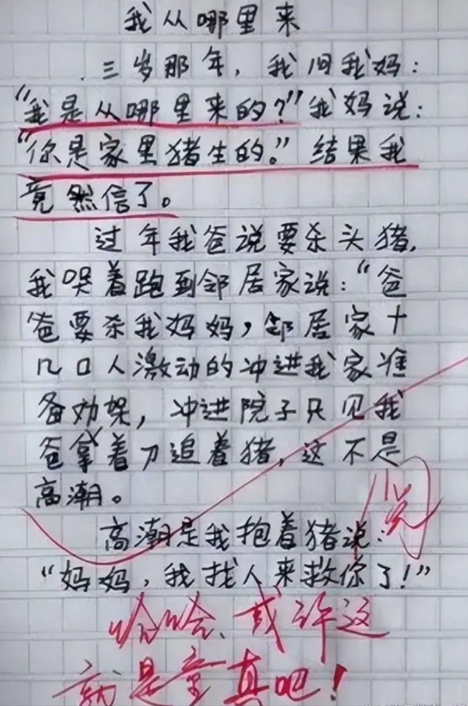 搞笑作文笑到哭图片