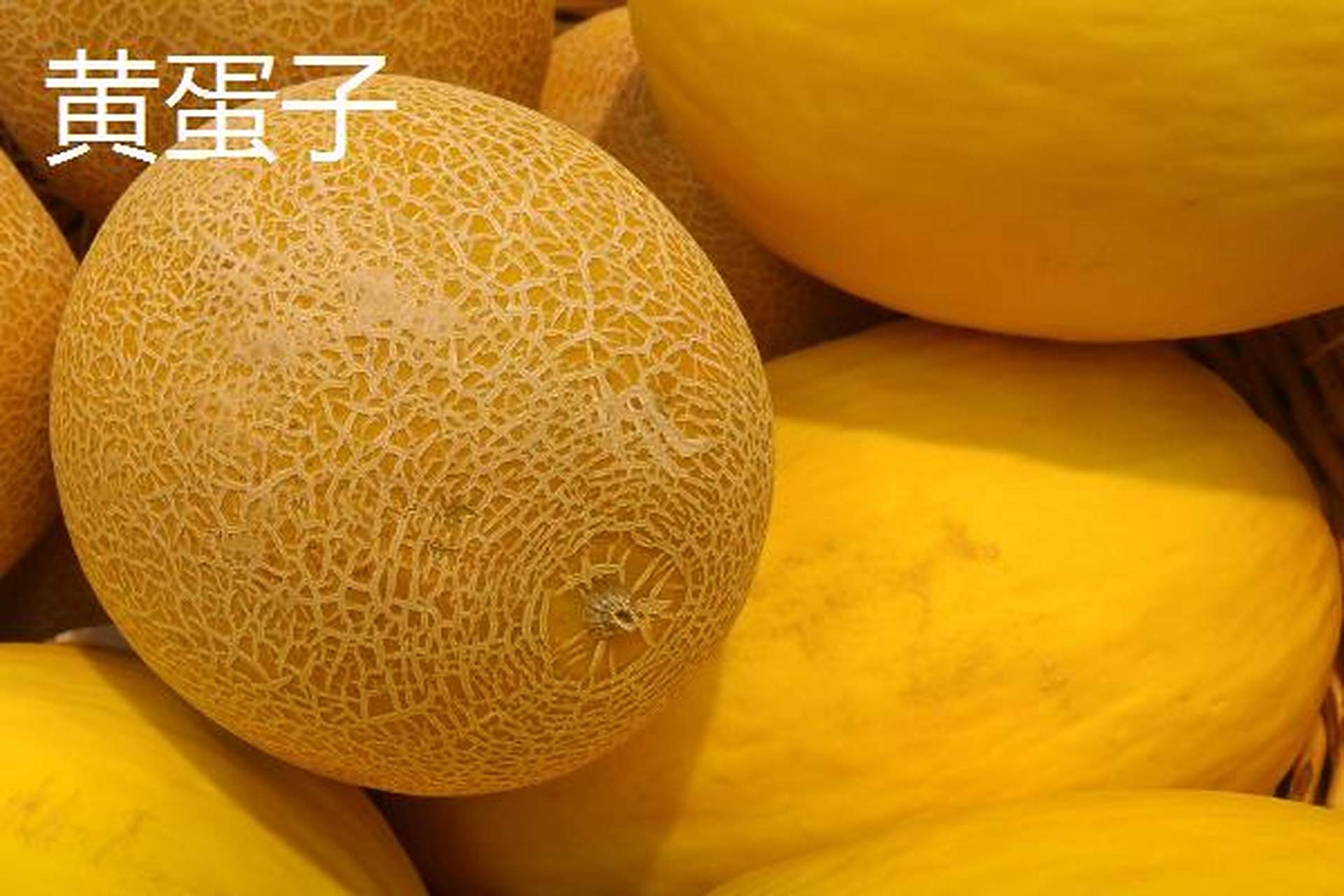 新疆阿勒泰地区的特产包括青河阿魏菇,喀纳斯蜜瓜,哈纳斯黄豆,顶山食