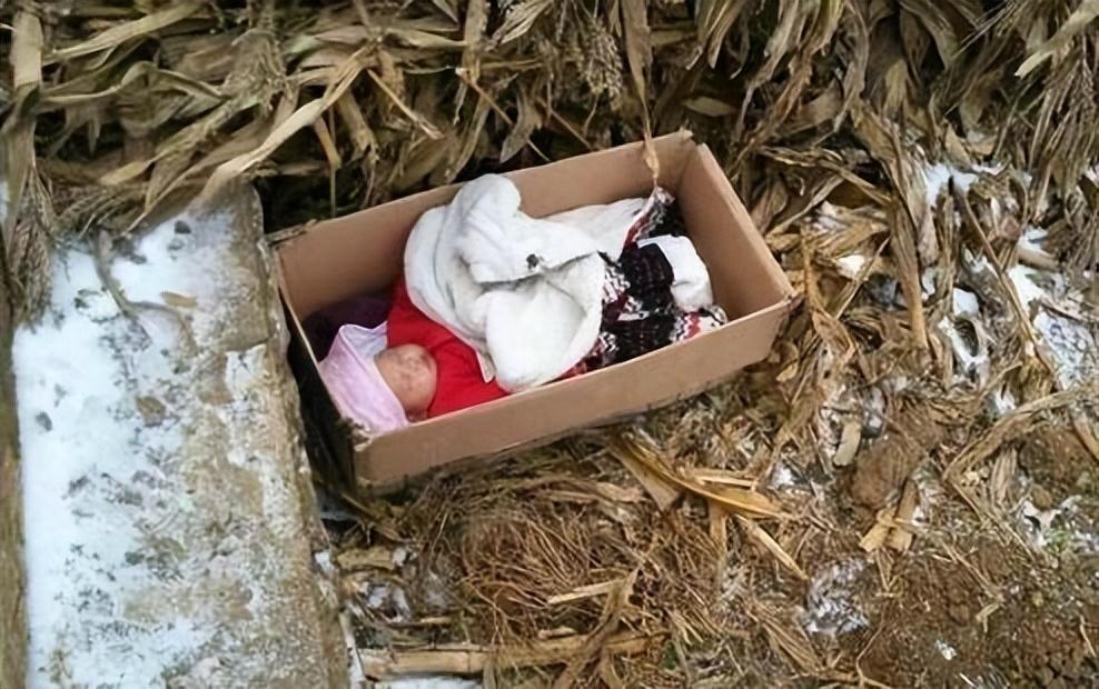 回顾重庆光棍捡到女婴,终身未娶供她读研,她的回报让人泪目!