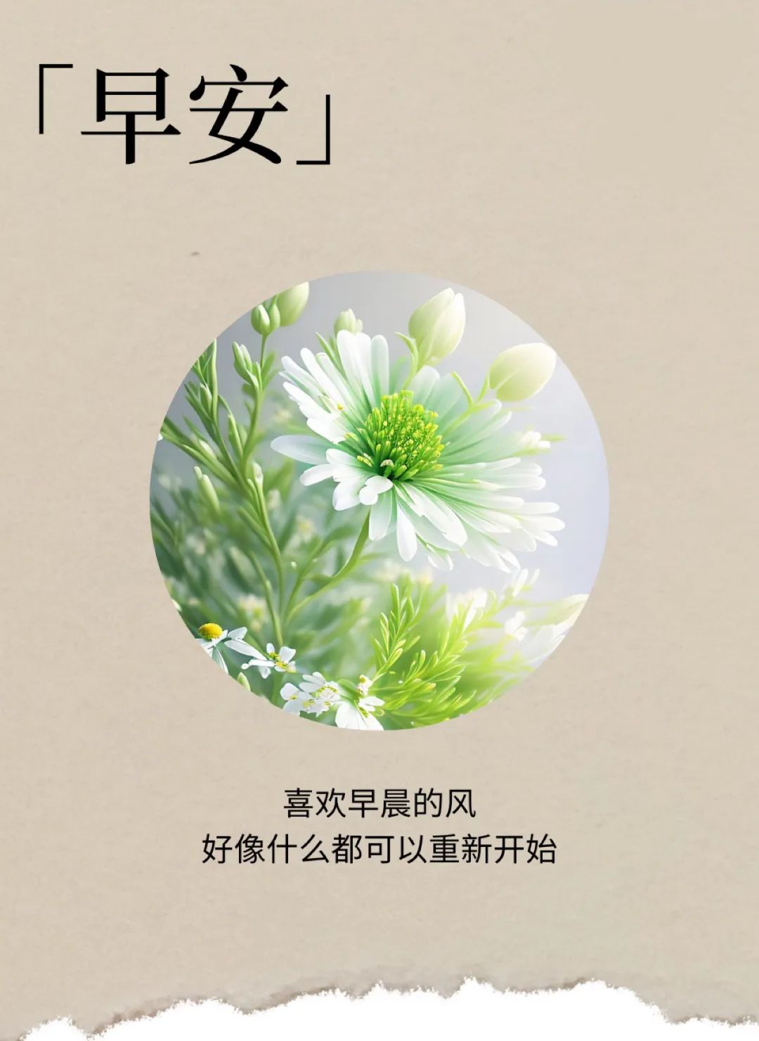 问候图片早安最亮丽的花卉图片高清早上好卡通花卉背景早安图片鲜花