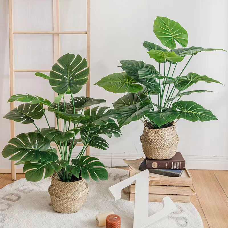 走进北欧风格,感受自然之美——仿真绿植的魅力!