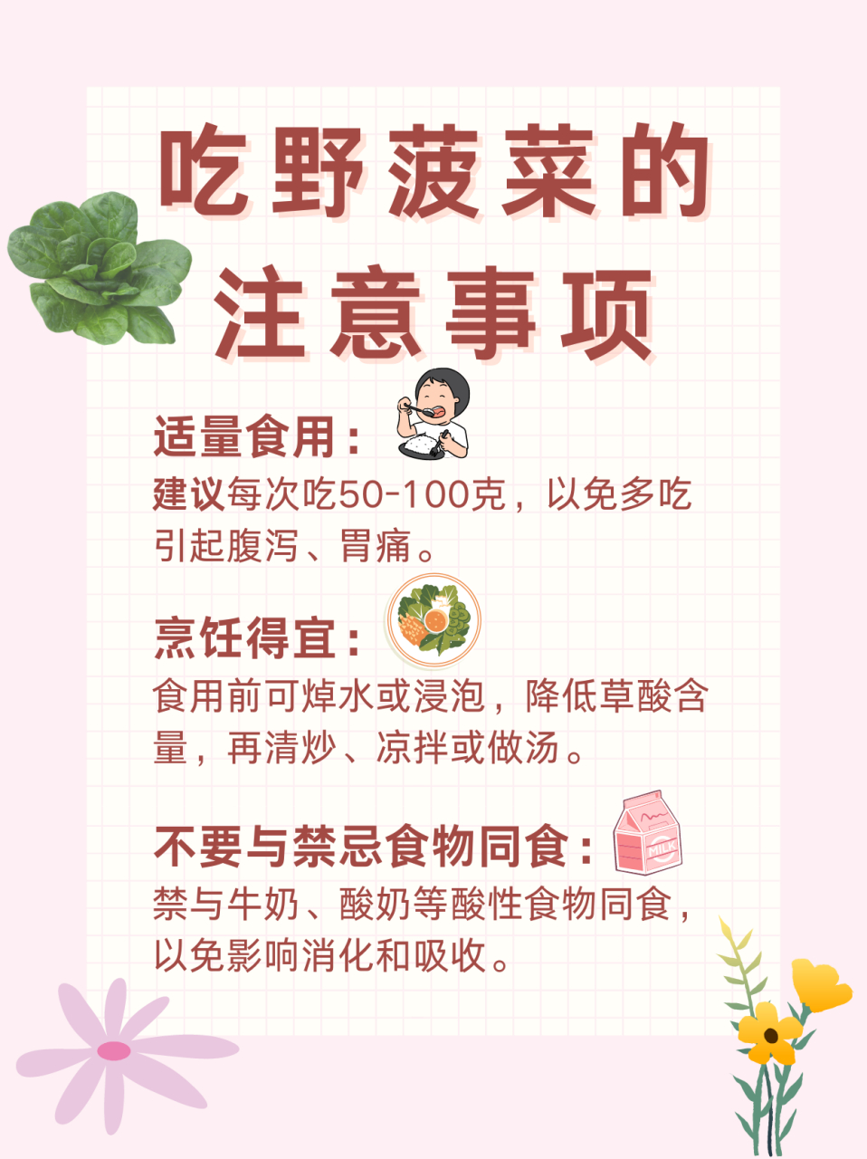 97养生新宠:野菠菜的作用与功效大解析 今天刚上班就有一个人来咨询