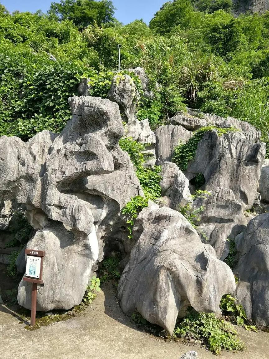 先去了三衢石林,这里被誉为"世界最大的天然盆景"和"象形石动物园".