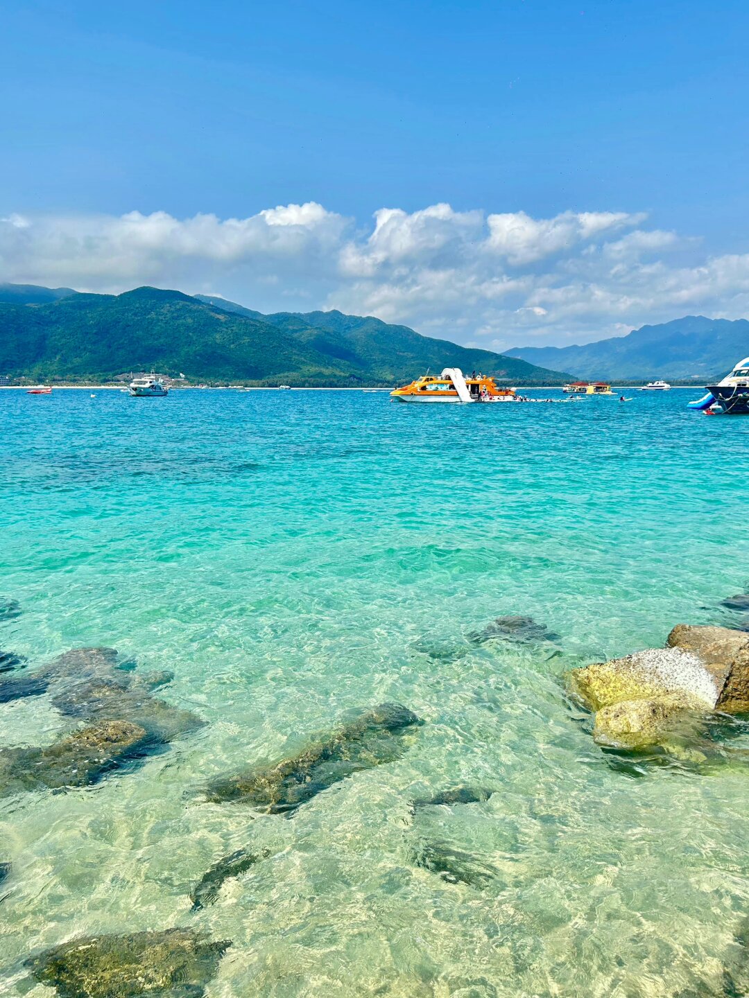 春天的海南真的绝了