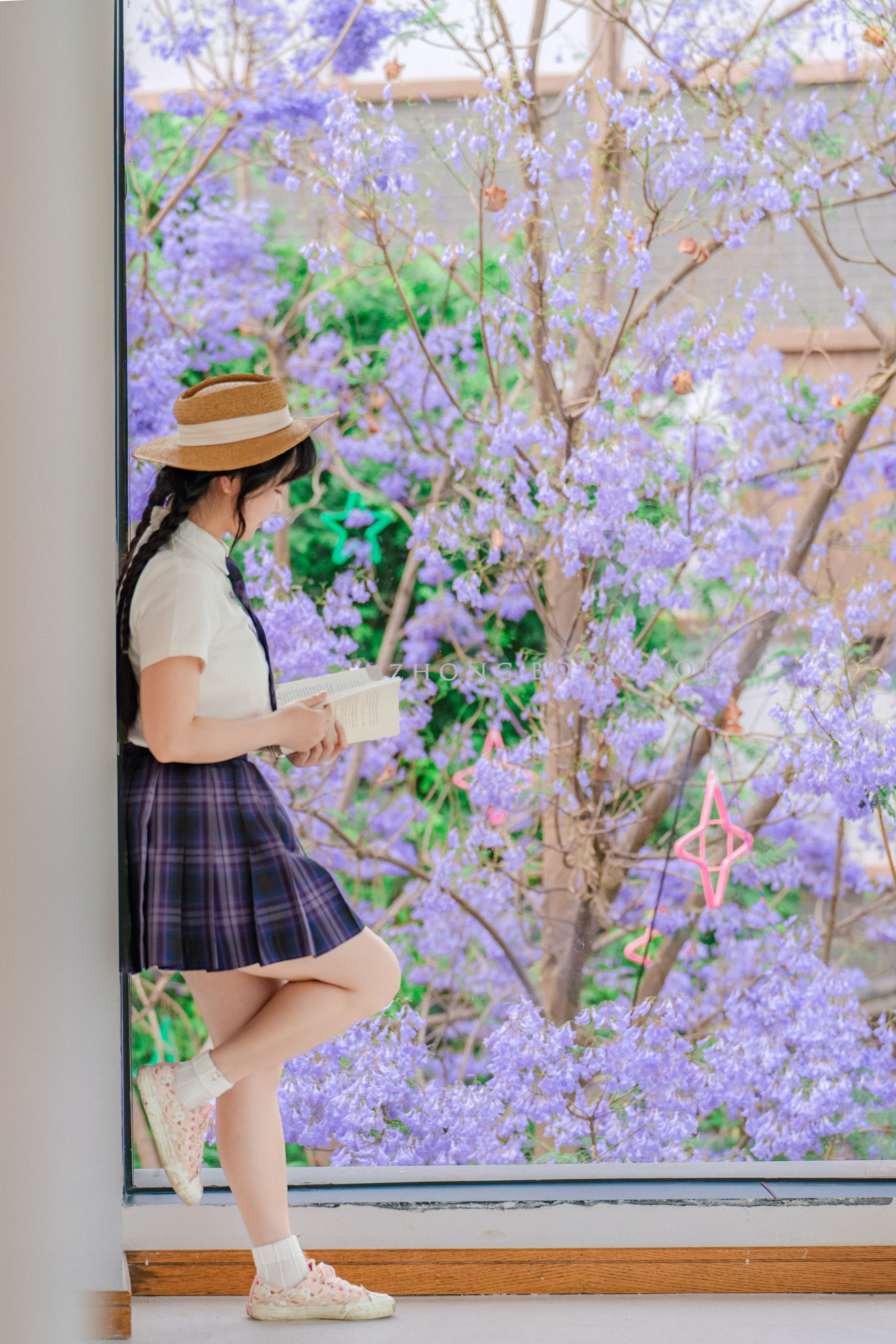 西昌蓝花楹开了
