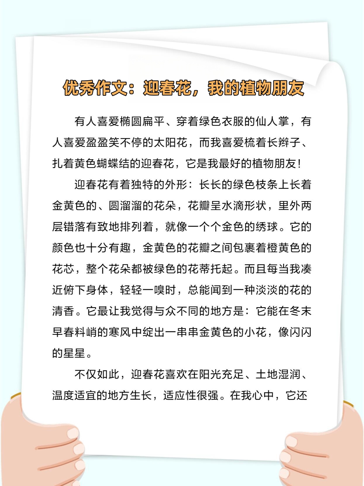 优秀作文:迎春花,我的植物朋友