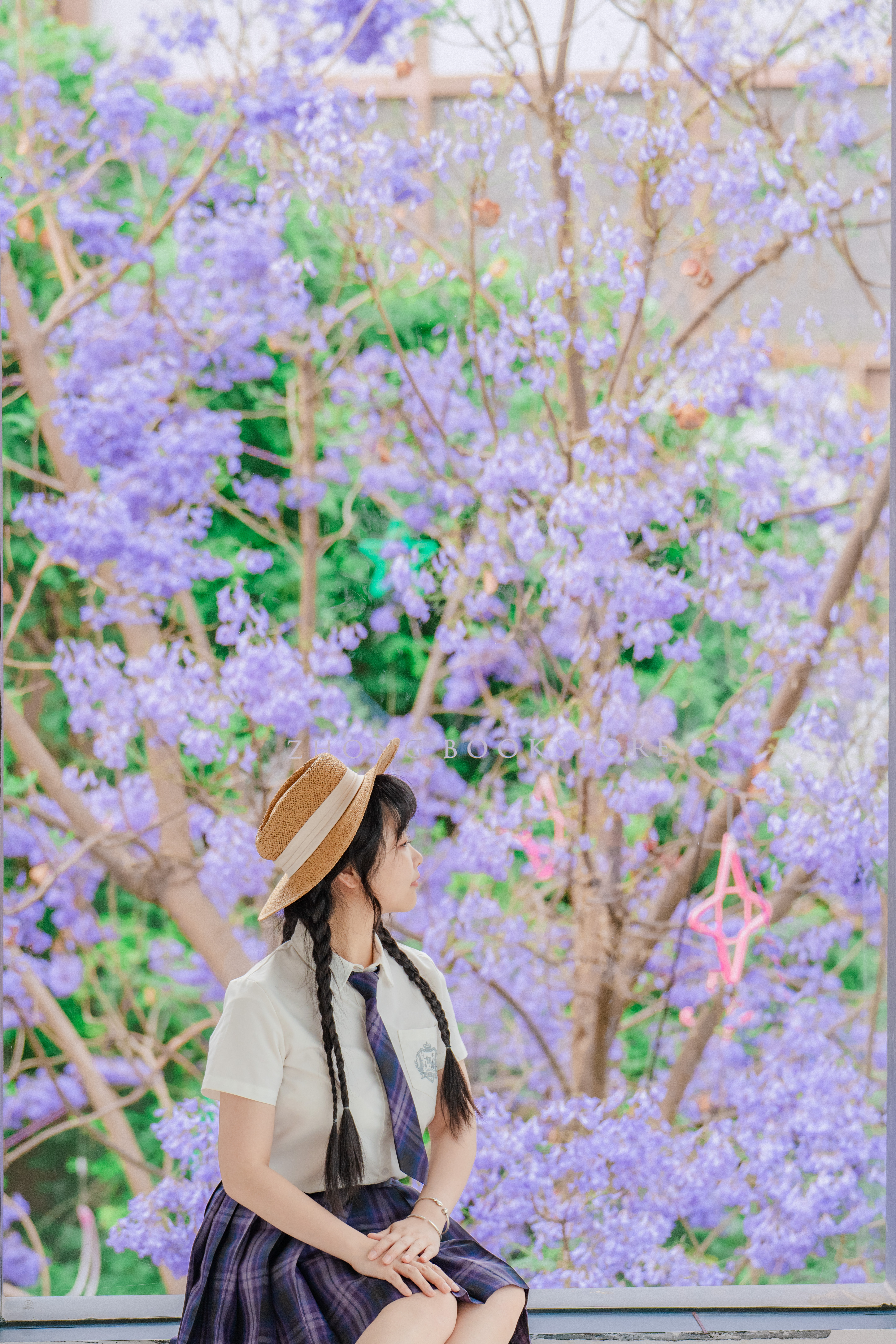 西昌蓝花楹开了