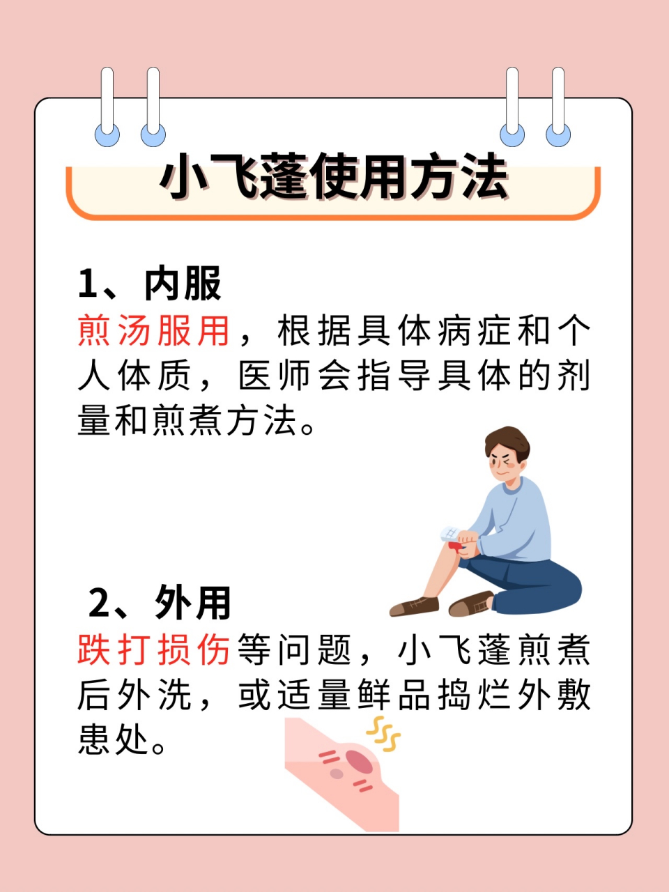97小飞蓬的作用和功效,干货来了!