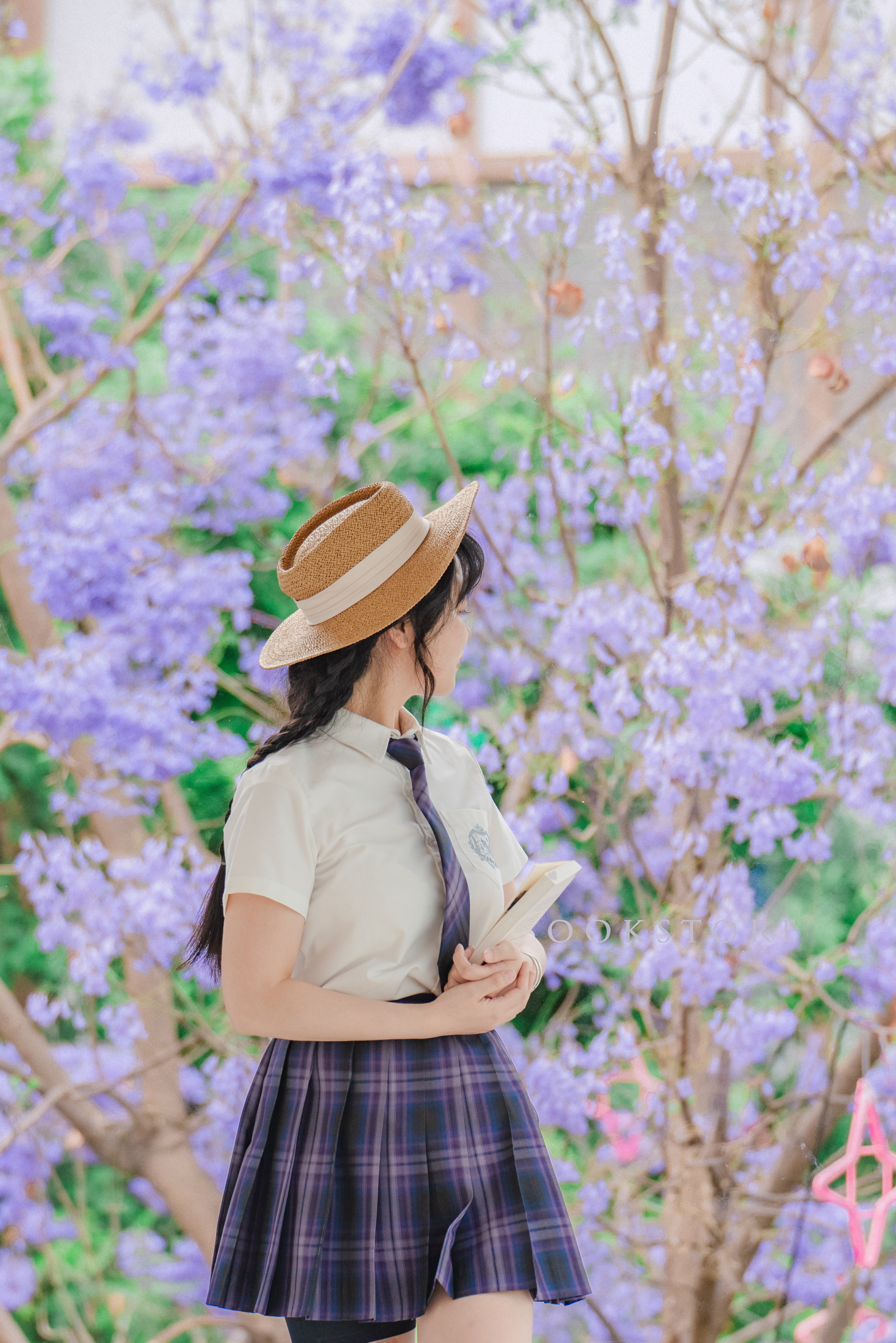 西昌蓝花楹开了