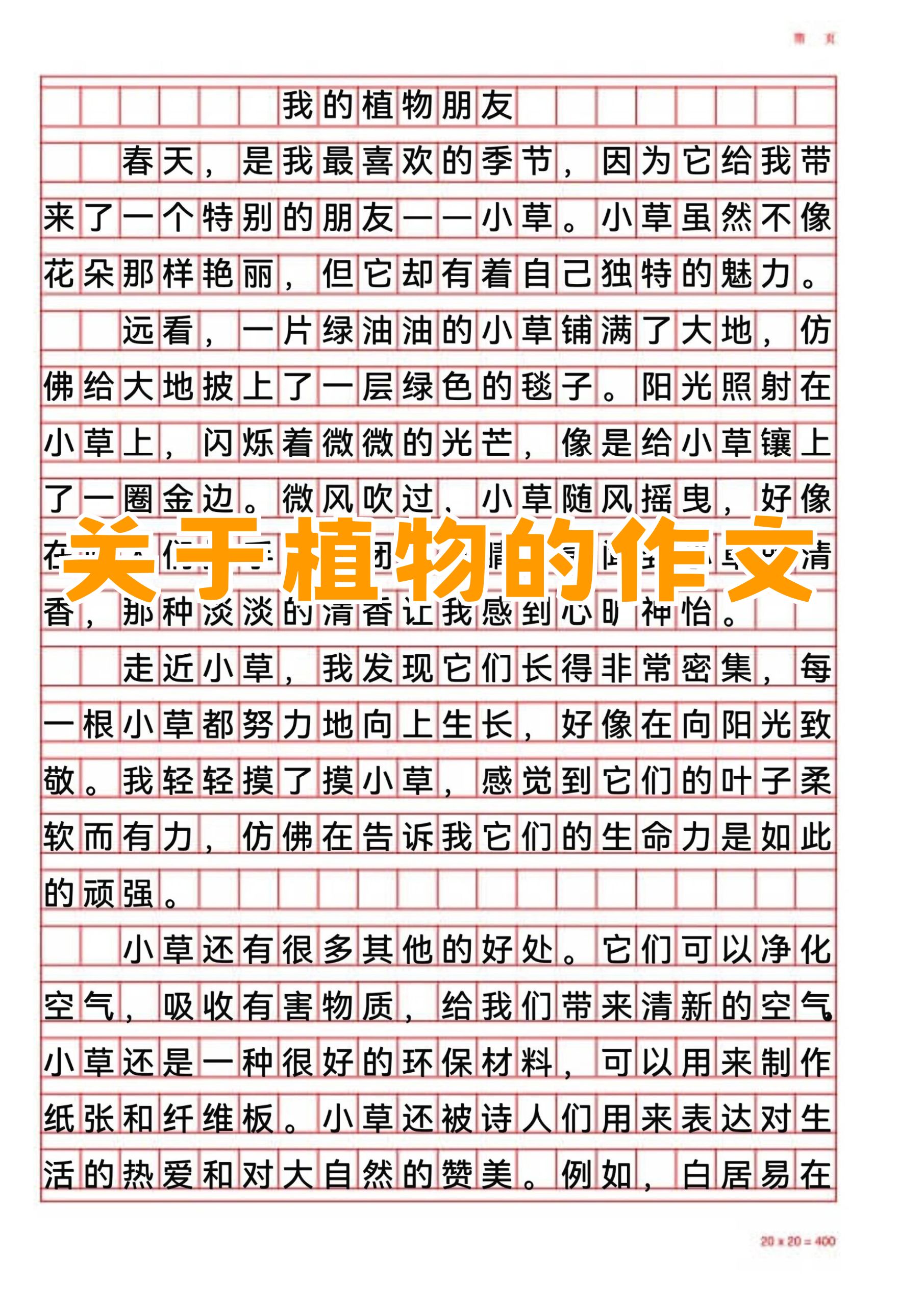 观察植物的作文400字一次有趣的观察的简单介绍