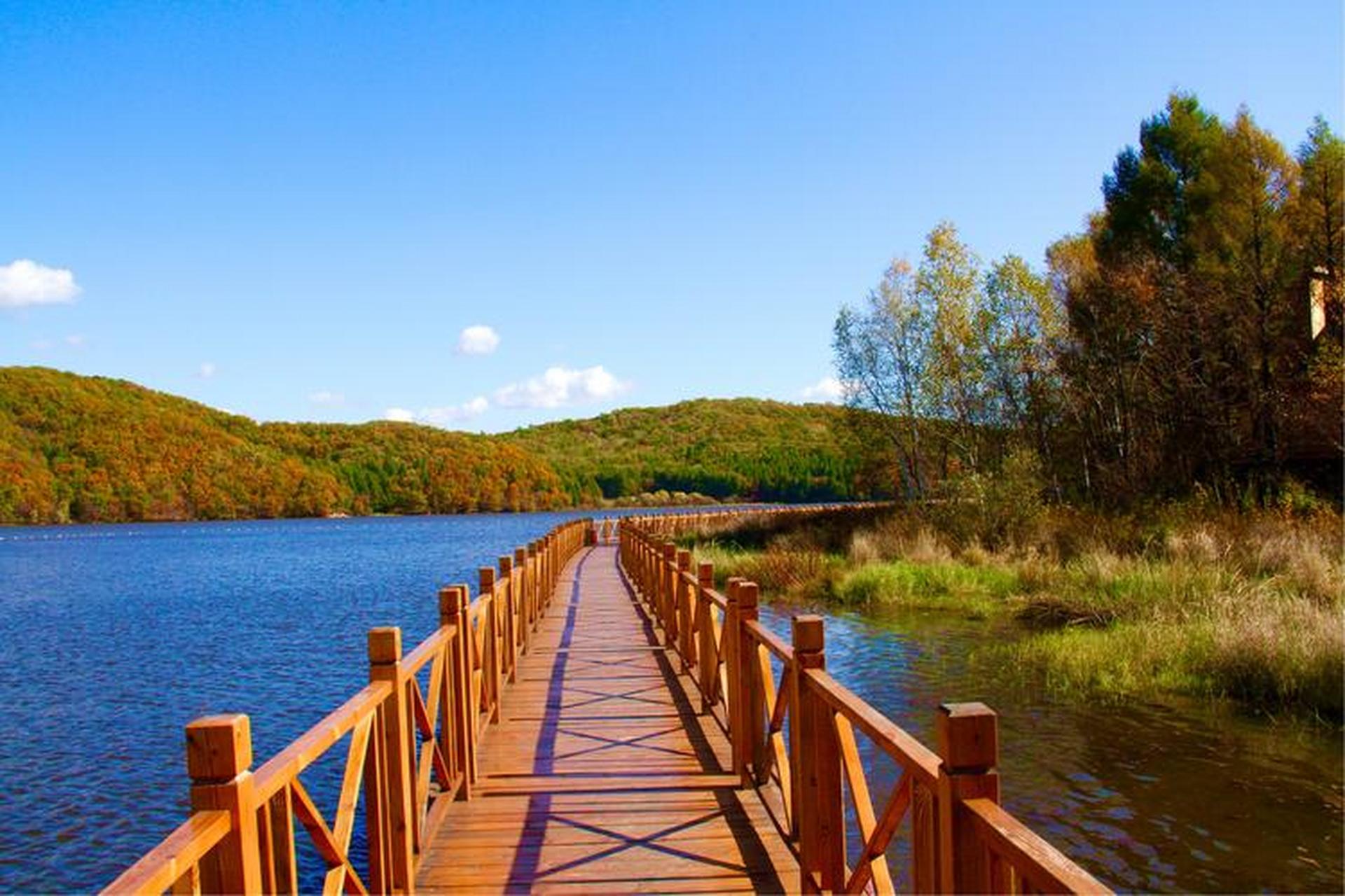 石河子市的桃源水利风景区与西域观音岛是热门旅游地.
