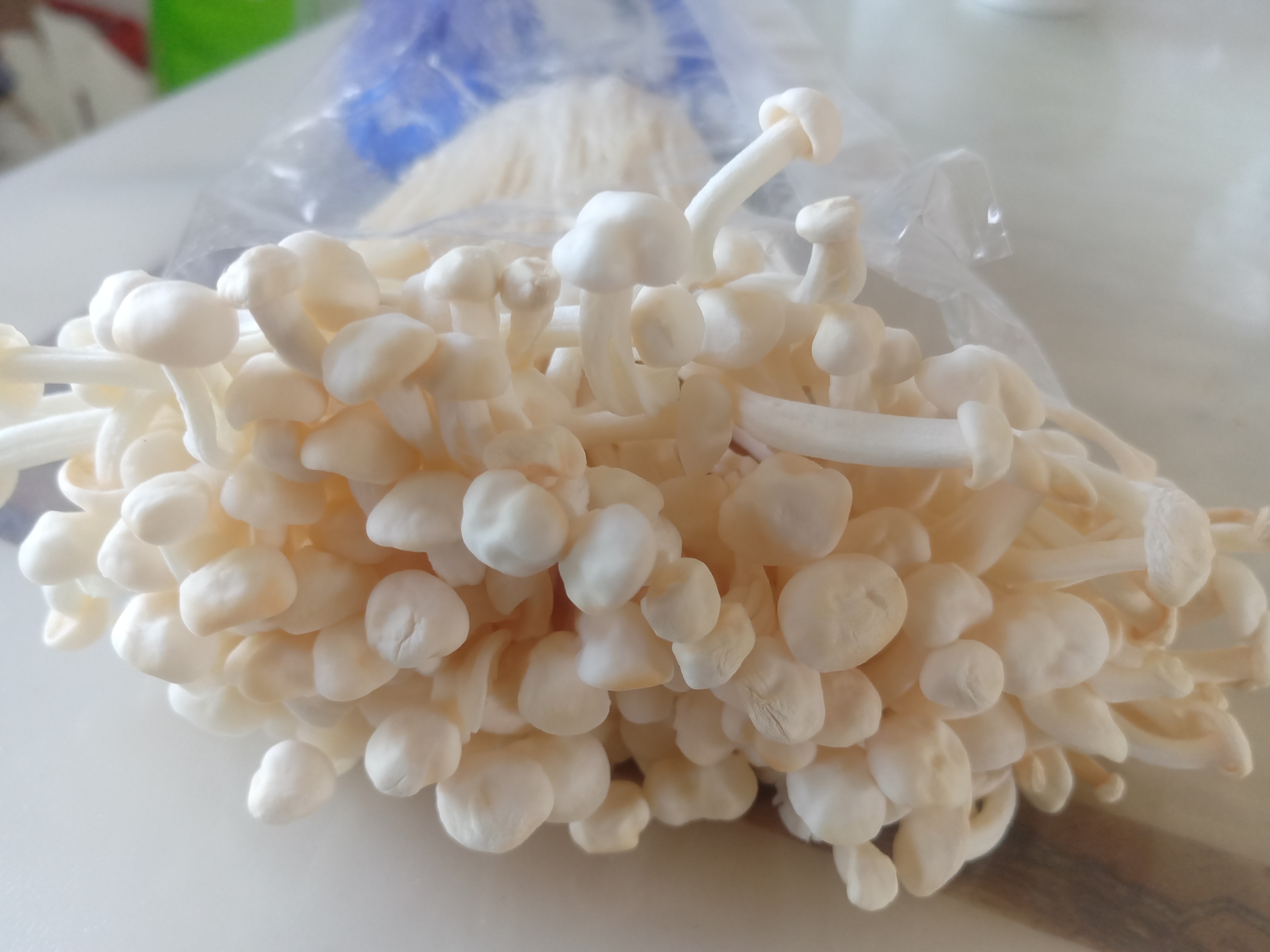 10天前买的金针菇,结果变成这个样子,这还能吃吗?