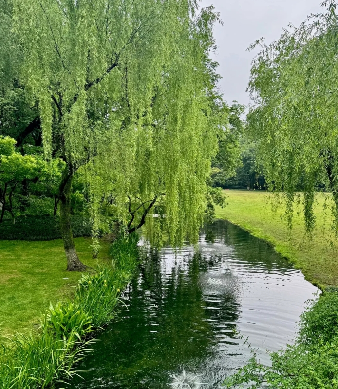 杭州版"绿野仙踪"来了,春天美如一幅画,想来打卡拍照吗?