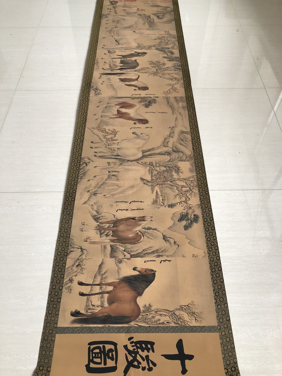绢布中卷《朗世宁十骏图》展现骏马英姿,长卷巧妙呈现十匹马的神态