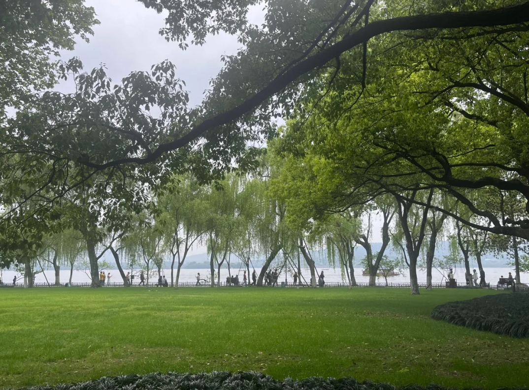 杭州版"绿野仙踪"来了,春天美如一幅画,想来打卡拍照吗?