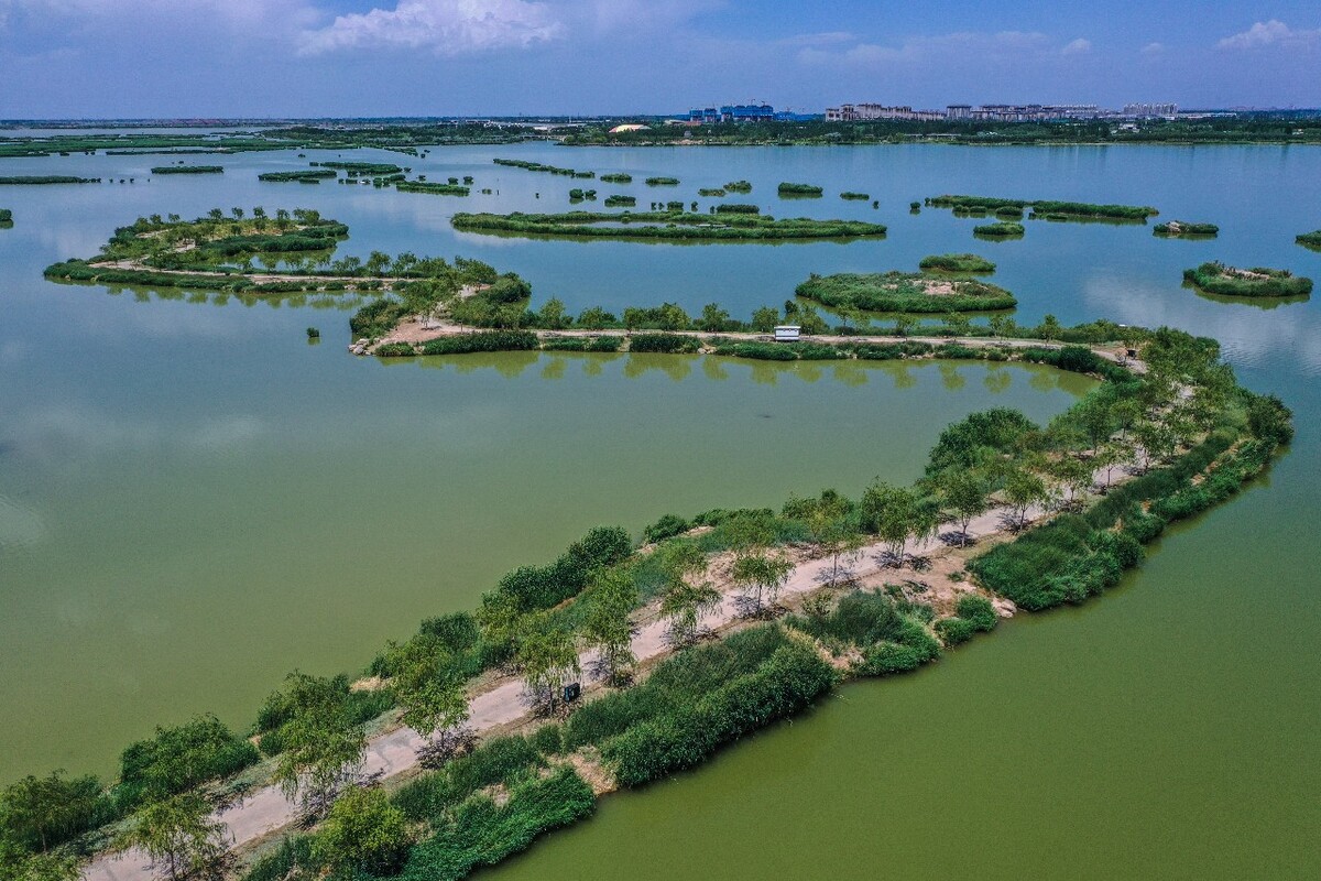 阅海国家湿地公园图片