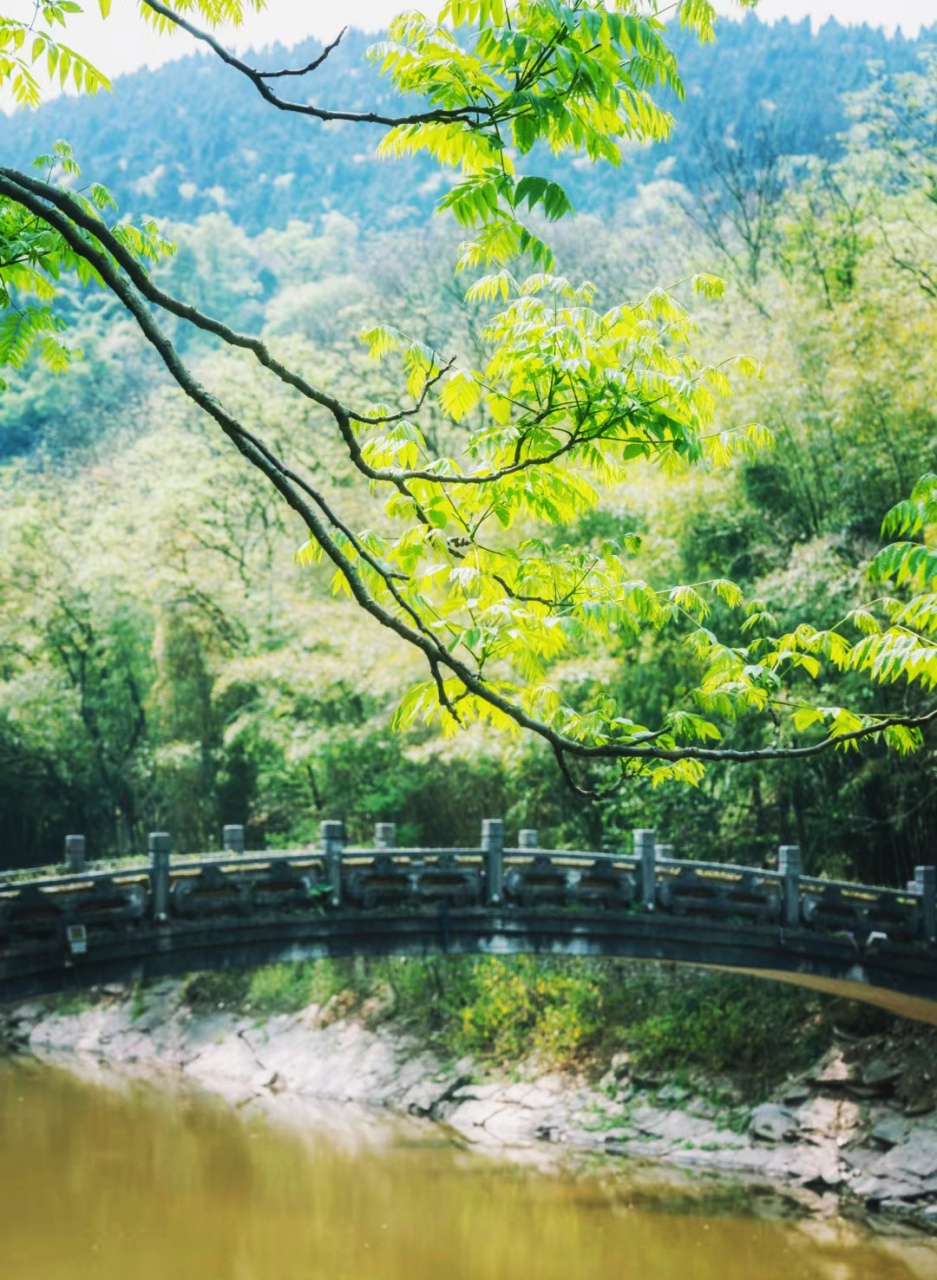 99重庆南温泉公园,你们去了吗?