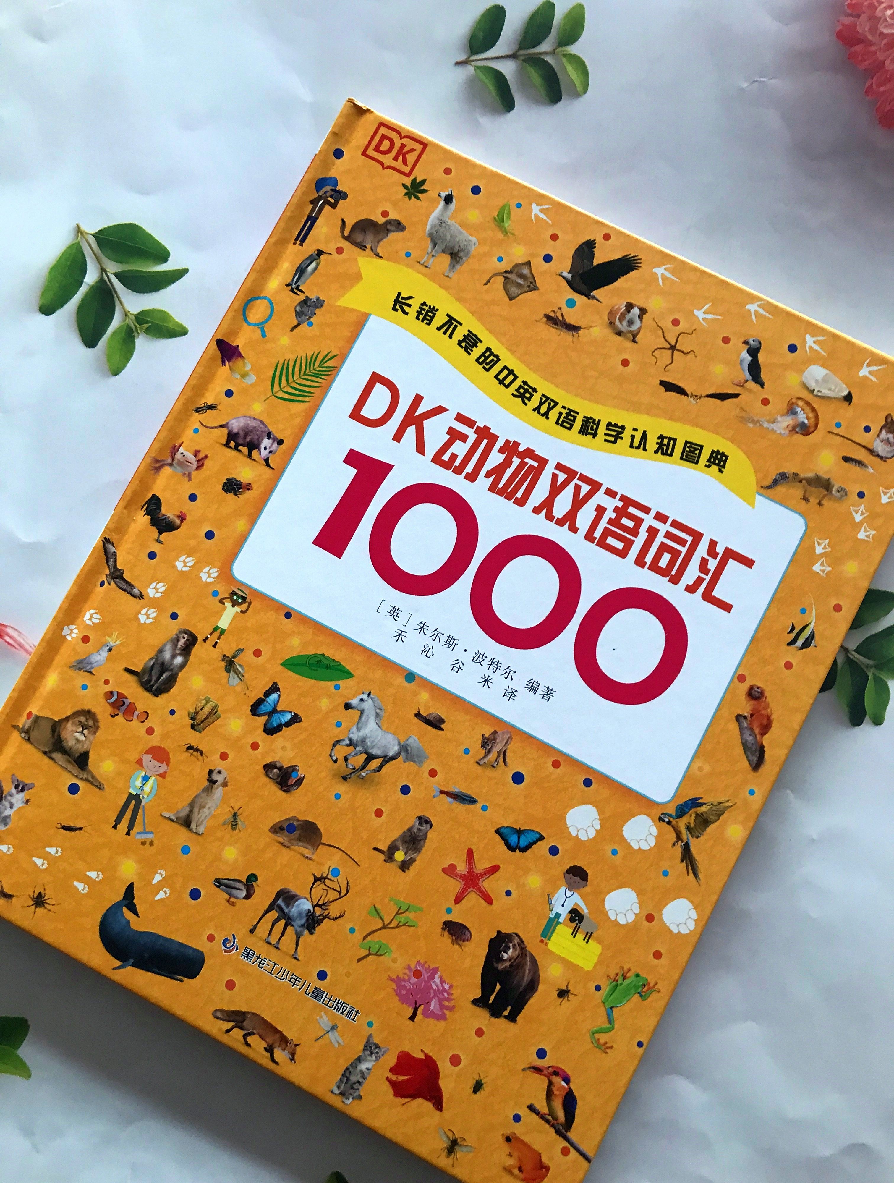 建设网站的价格是多少_网站建设的价格_网站建设市场价格