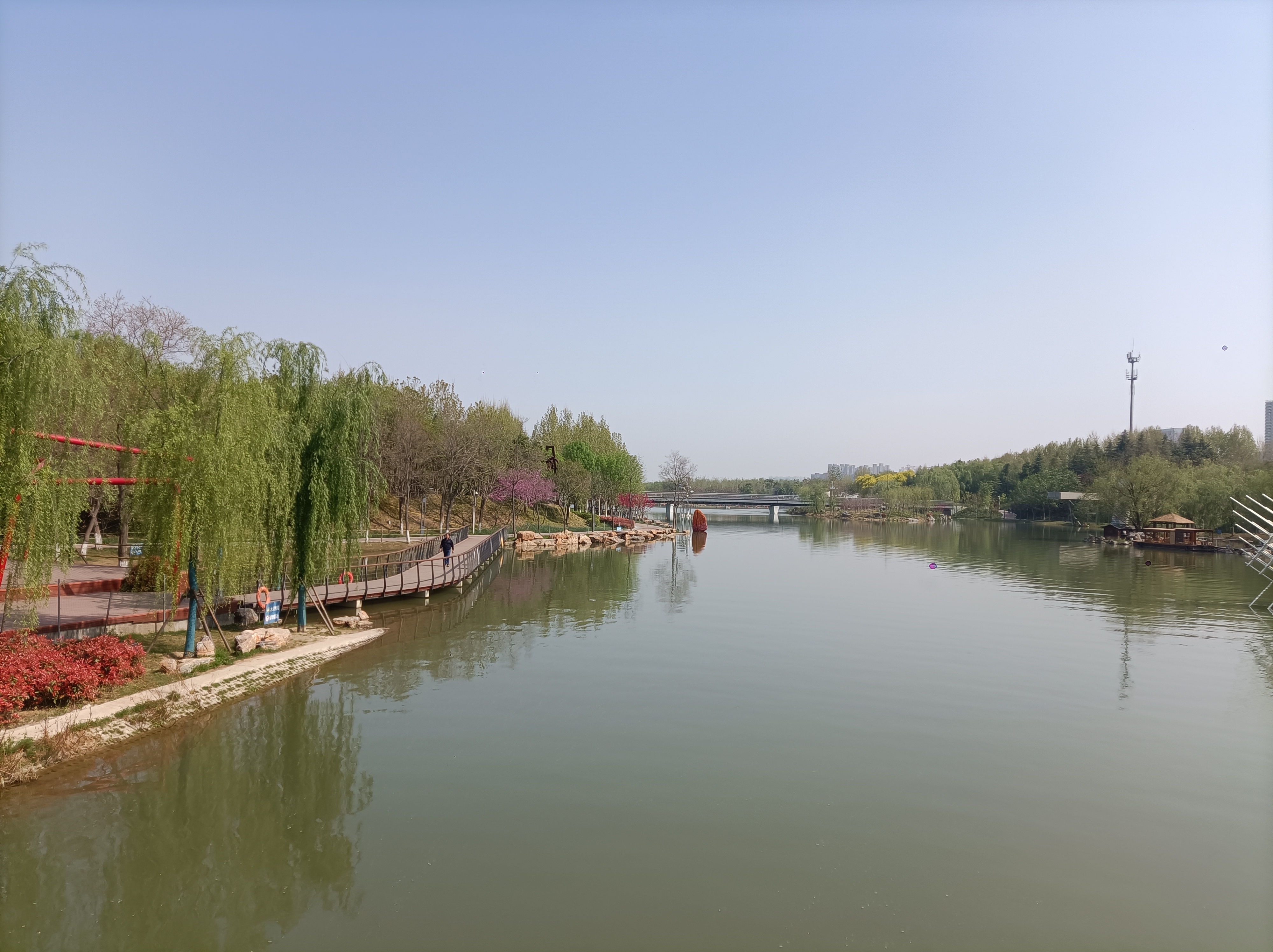 五一小长假雕塑公园游玩踏青好去处,碧水蓝天春光美,天鹅游春水荡漾