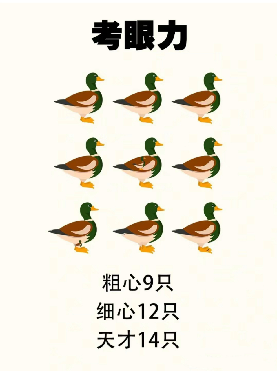 认真数一数 图片中有几只小鸭子呢? #考眼力