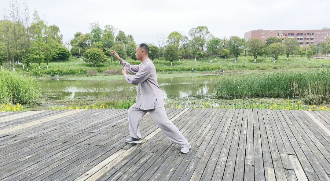 杨式太极拳揽雀尾要领详解