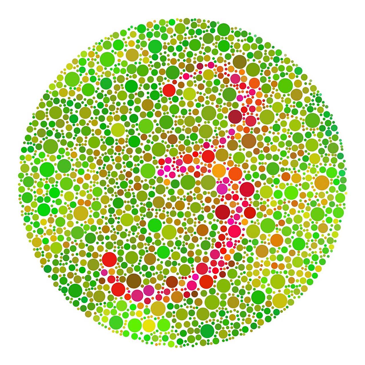 面对考驾照时色盲色弱表看不出来的问题,还想快速拿驾照,不必过于焦虑