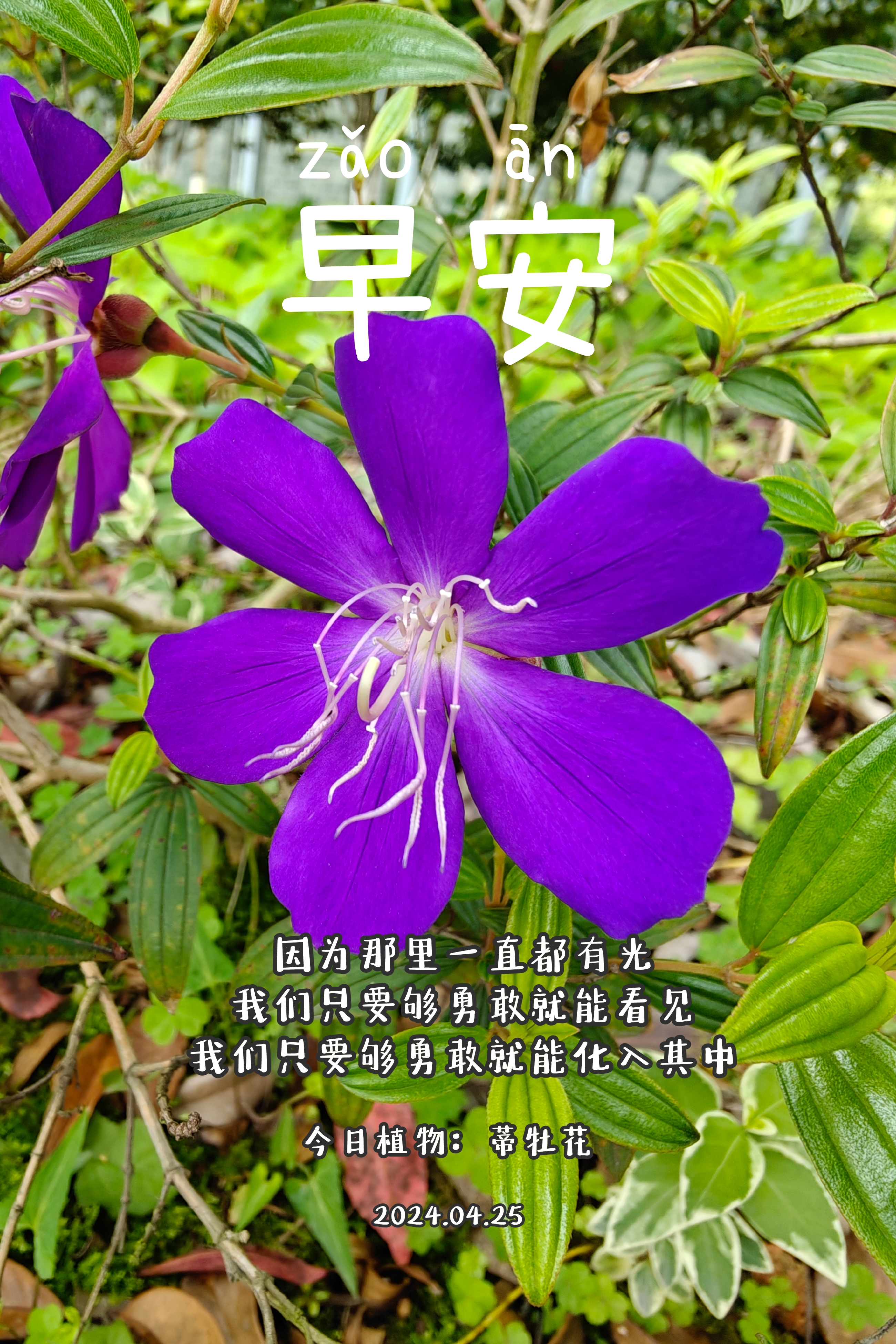 早安春天了图片大全