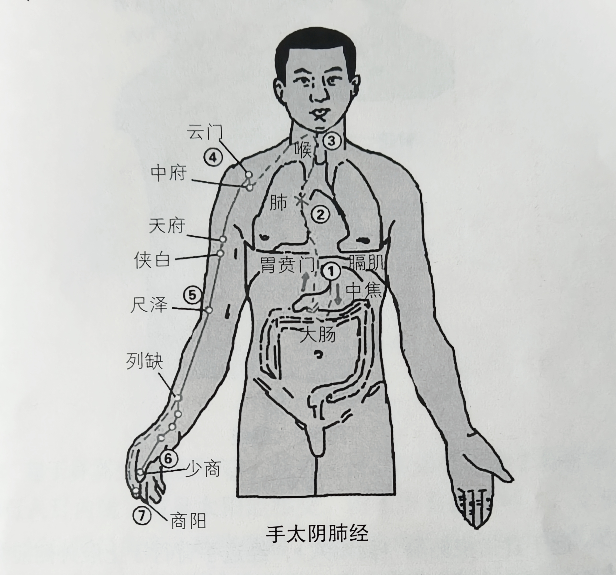 太阴的准确位置图片