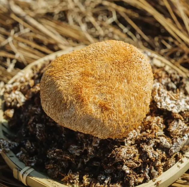 猴头菇咋做才最香?家常做法,好吃又营养,快来学学吧!