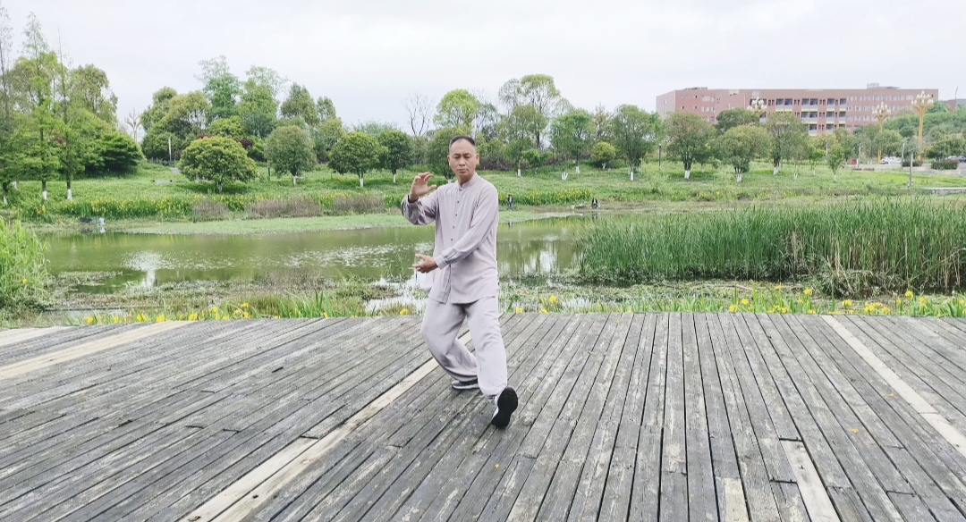 杨式太极拳揽雀尾要领详解