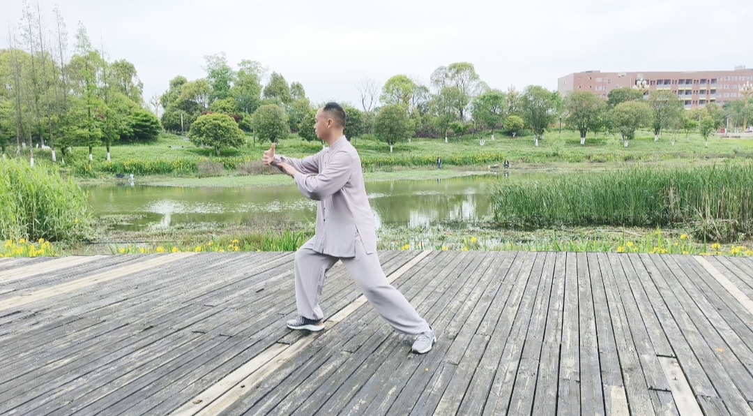 杨式太极拳揽雀尾要领详解