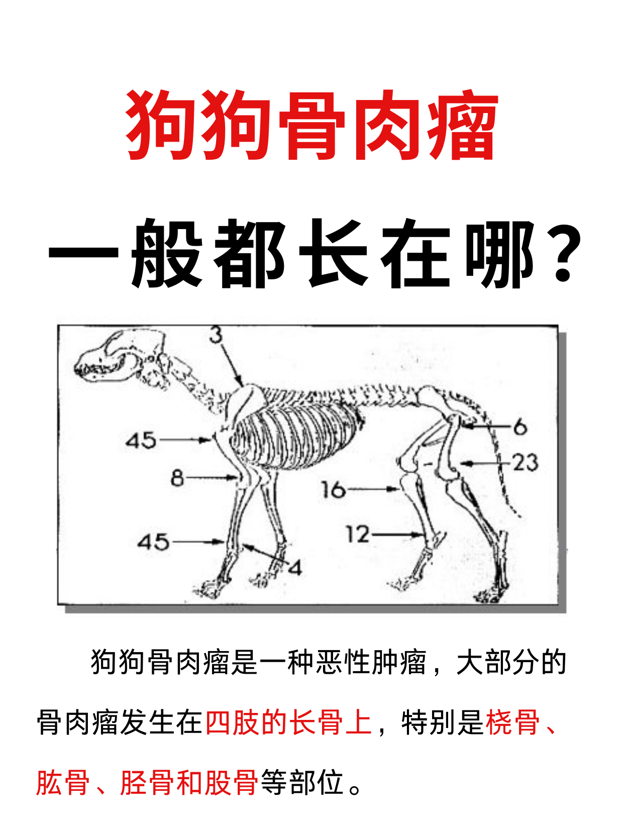 自我判断骨肉瘤图片