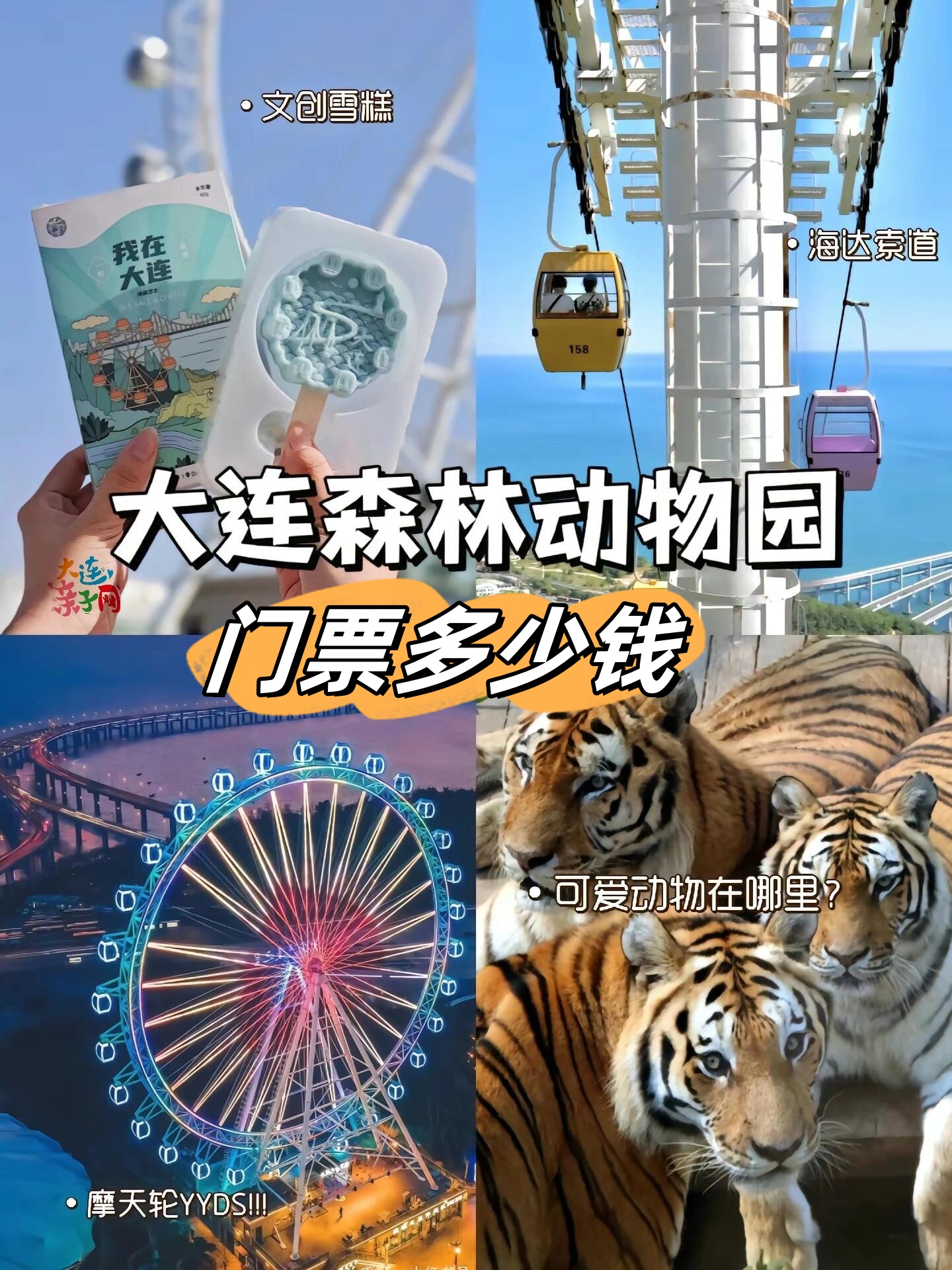 大连森林动物园门票多少钱