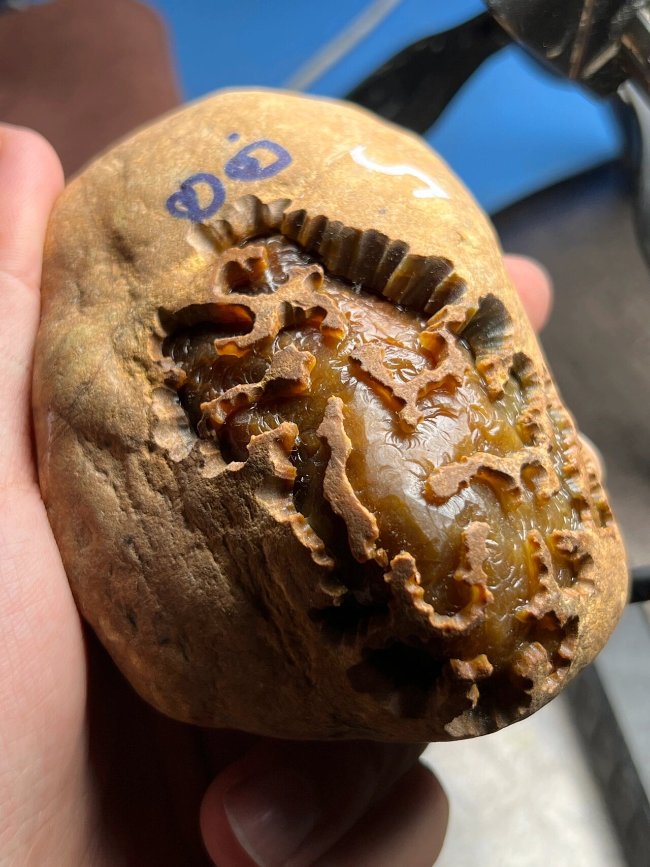 翡翠原石#翡翠原石是一种具有独特魅力和价值的珠宝玉石,其种类范多