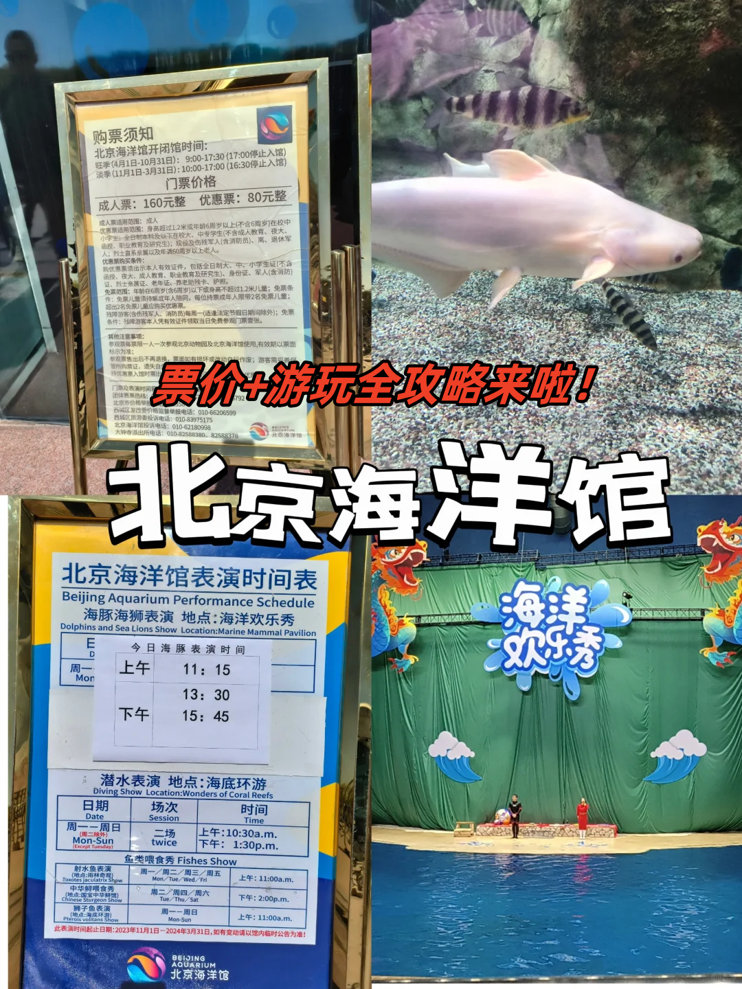 哈喽宝贝们~  最近我去了北京海洋馆,门票价格是170元一张,简直是一