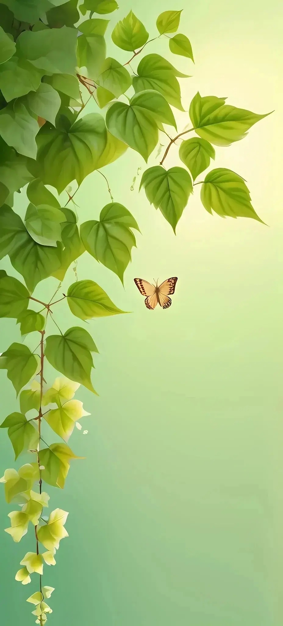 绿叶成荫,引来一只,两只,甚至一群在欢快的蝴蝶翩翩起舞!