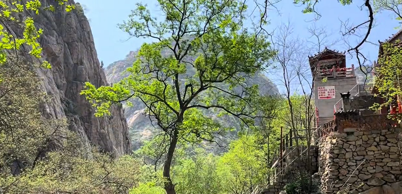 莱芜房干九龙大峡谷图片