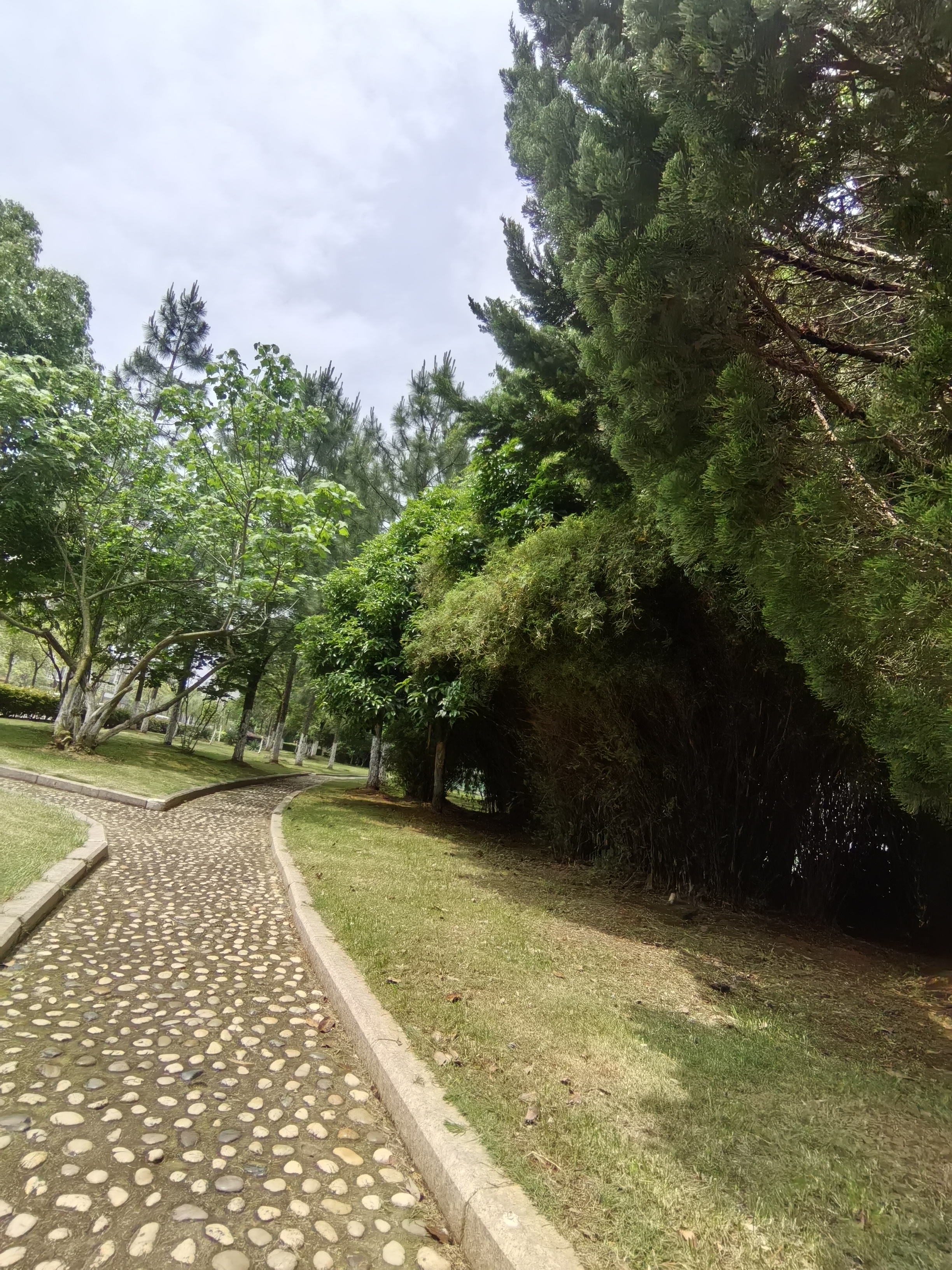 天然小氧吧～莱茵花园广场