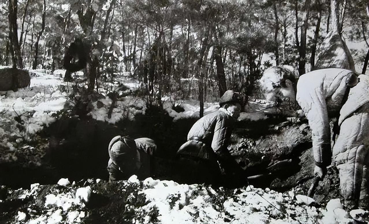 1952年抗美援朝,志愿军一天内用步枪打下5架飞机,一下