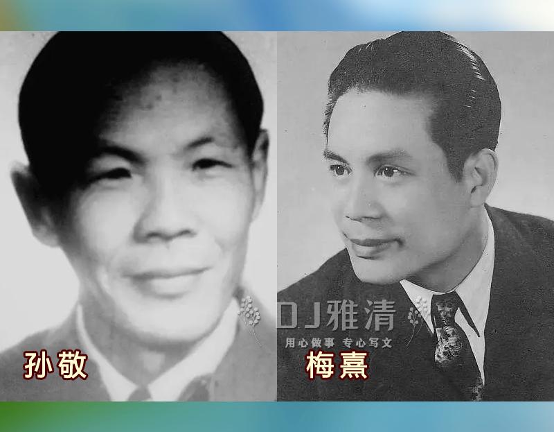 回顾《乳燕飞》:当年备受好评的体育电影 为何43年后