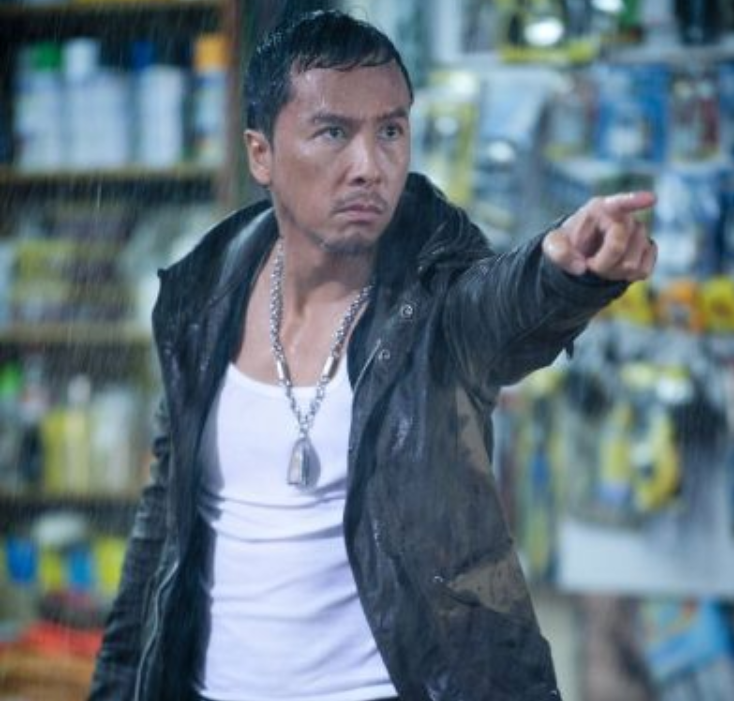 人到中年后凭借着《叶问》坐稳了"武打之王"的名头.