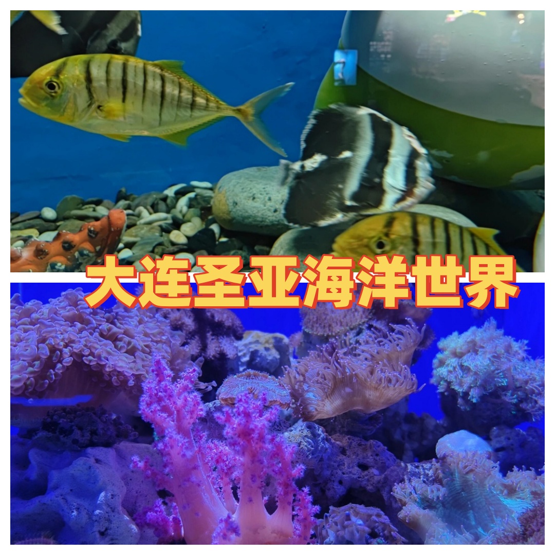 圣亚海洋世界标志图片