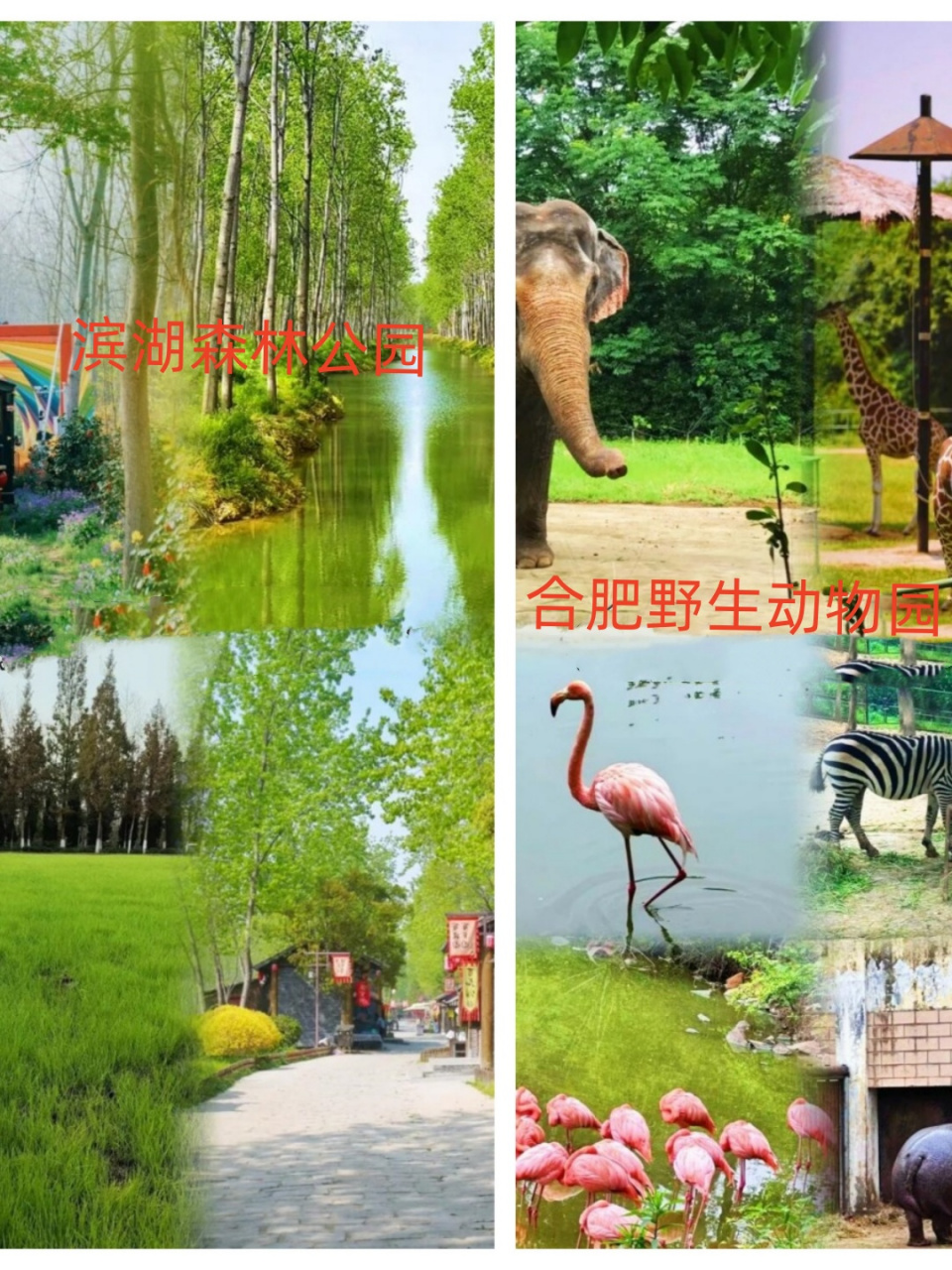 🔍  不得不提的就是逍遥津公园啦!
