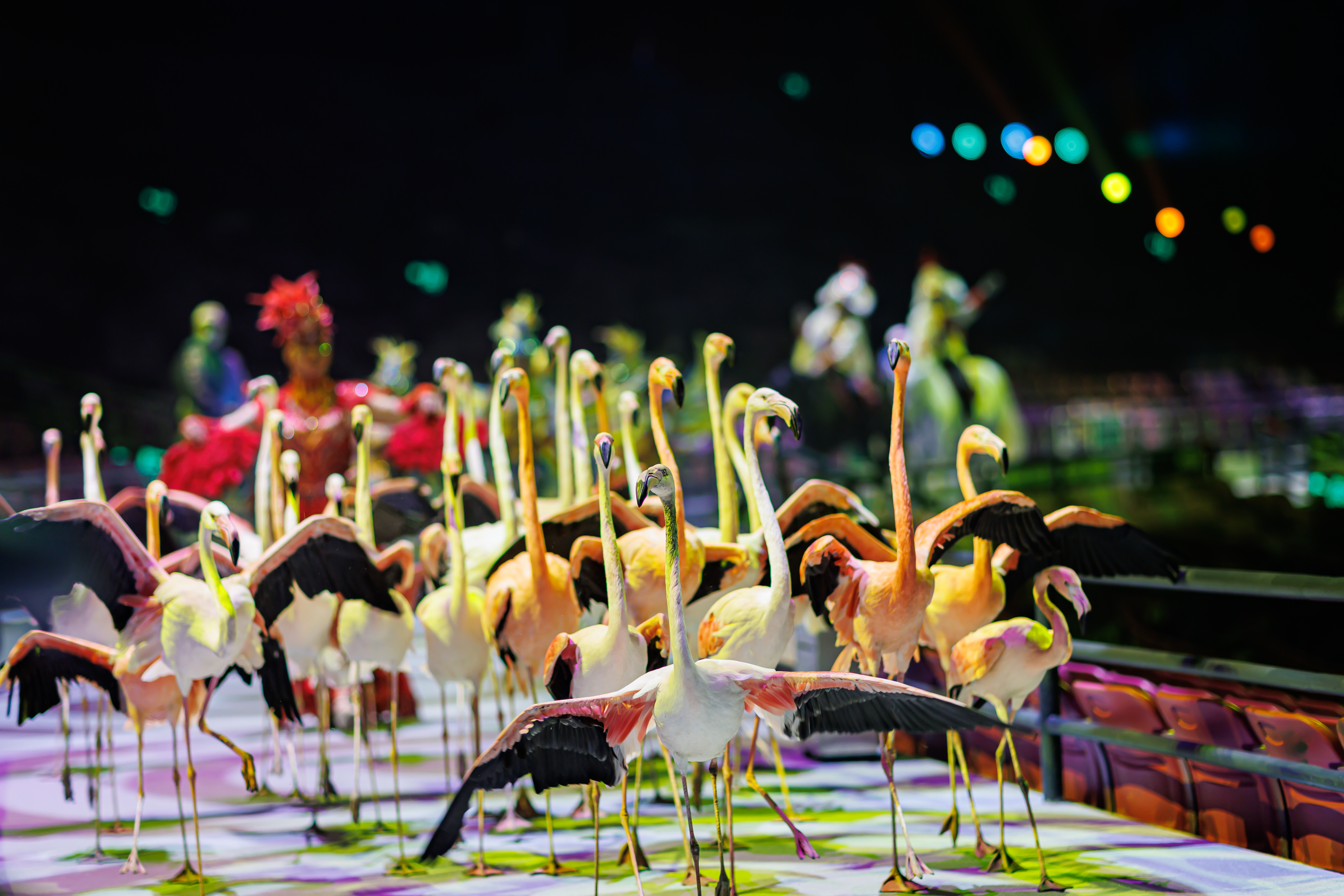 这里不仅有国际级的马戏表演,更有震撼的舞美效果,让你仿佛置身于梦幻